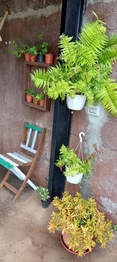 Casa Nieves De Mario Villa Santa Cruz de la Palma  Luaran gambar
