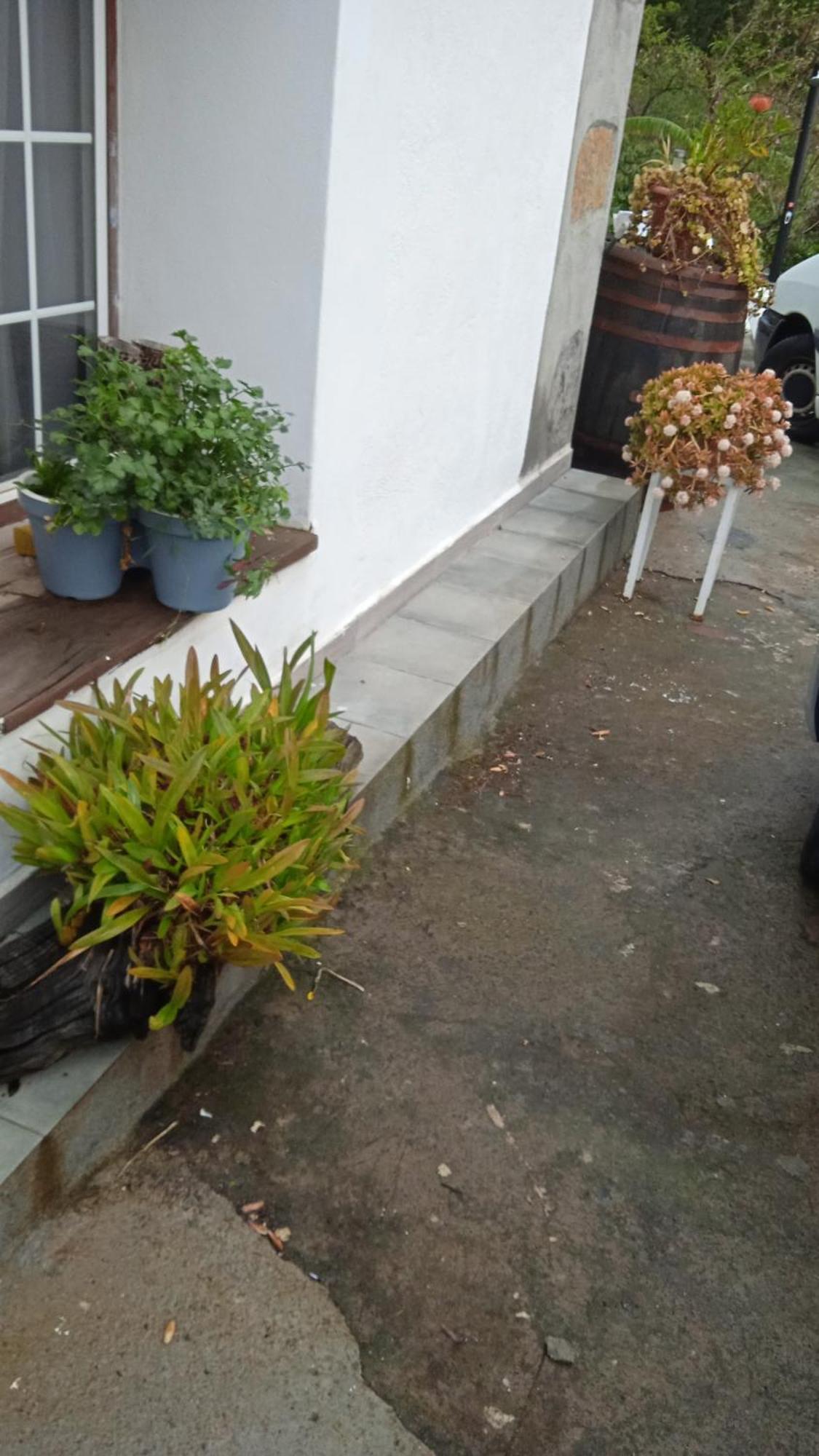 Casa Nieves De Mario Villa Santa Cruz de la Palma  Luaran gambar