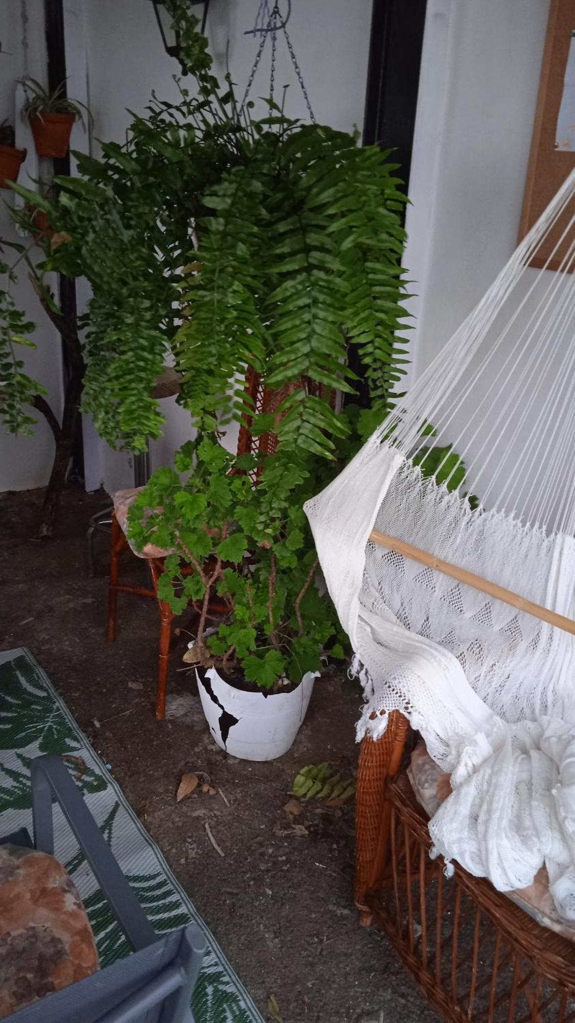 Casa Nieves De Mario Villa Santa Cruz de la Palma  Luaran gambar